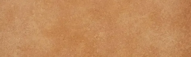 Cartago Paja