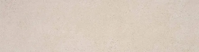 Compact Bone