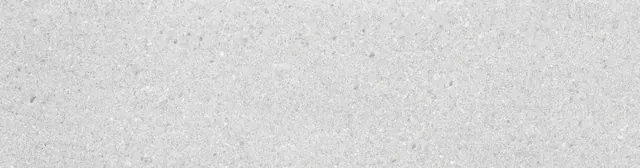 Dicot Perla