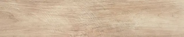 Espelta Haya