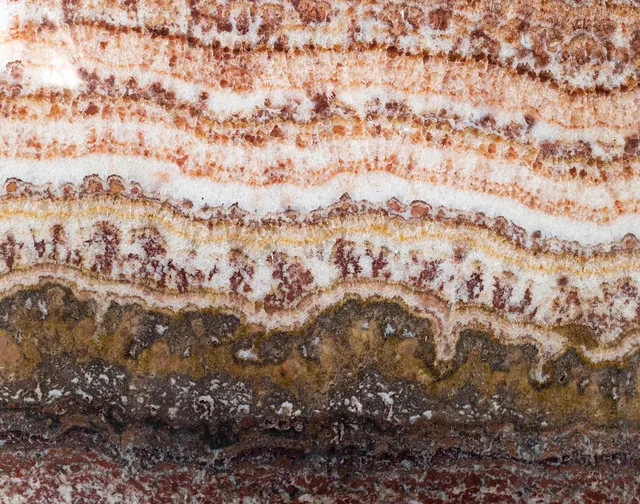 Onyx Fantastic