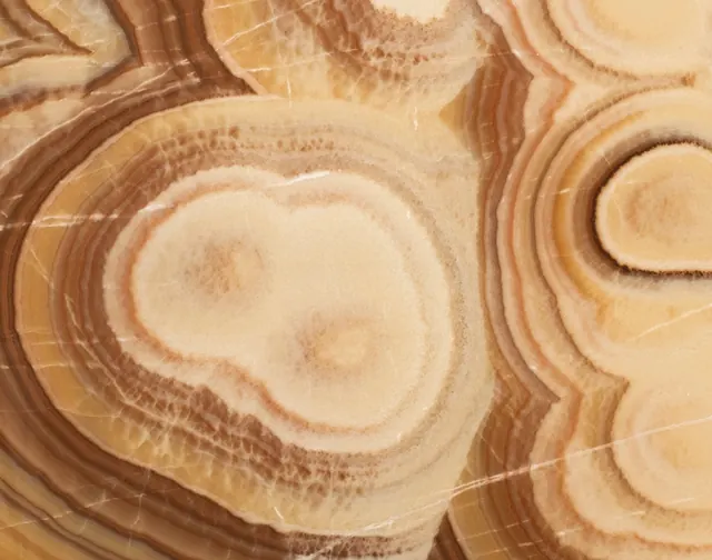 Onyx Honey