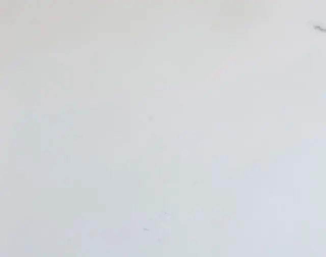 White Sivec
